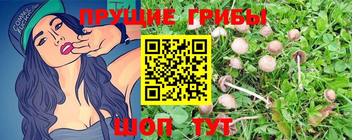 Галлюциногенные грибы MAGIC MUSHROOMS Минусинск