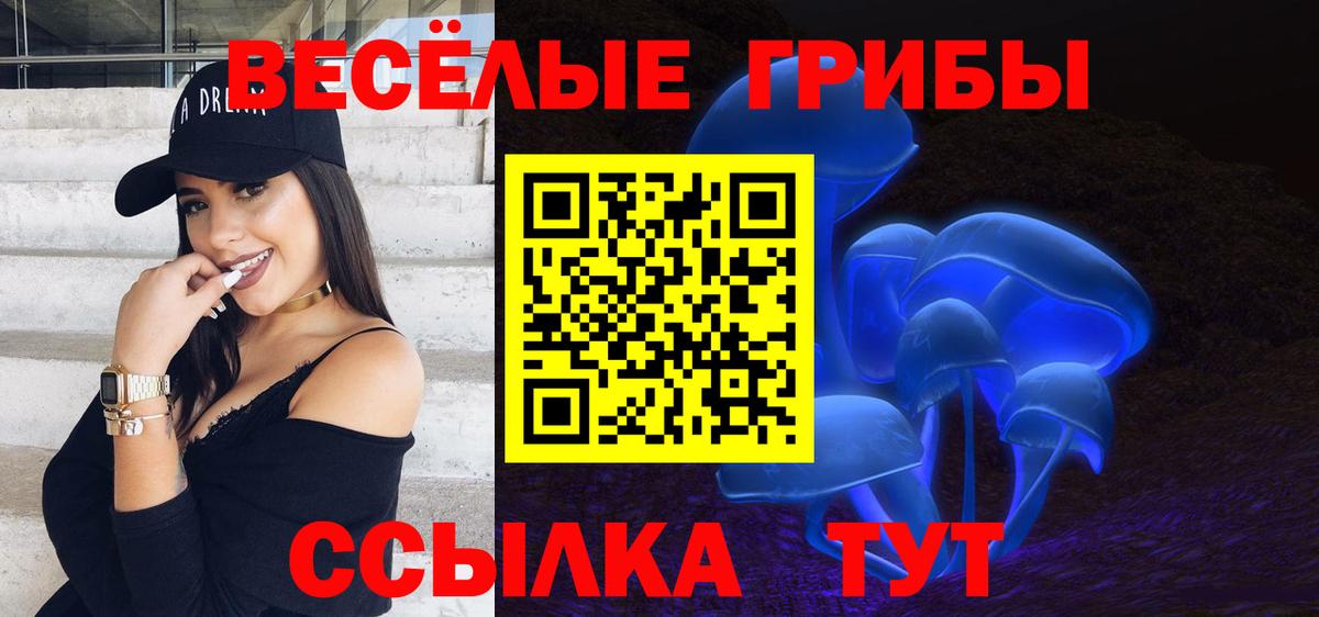наркошоп  Вход с VPN  Минусинск  Псилоцибиновые грибы мицелий 